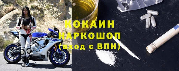 ALPHA PVP Остров