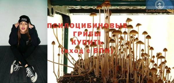 дмт Беломорск