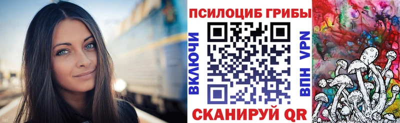 Псилоцибиновые грибы мицелий  наркошоп  Пионерский 